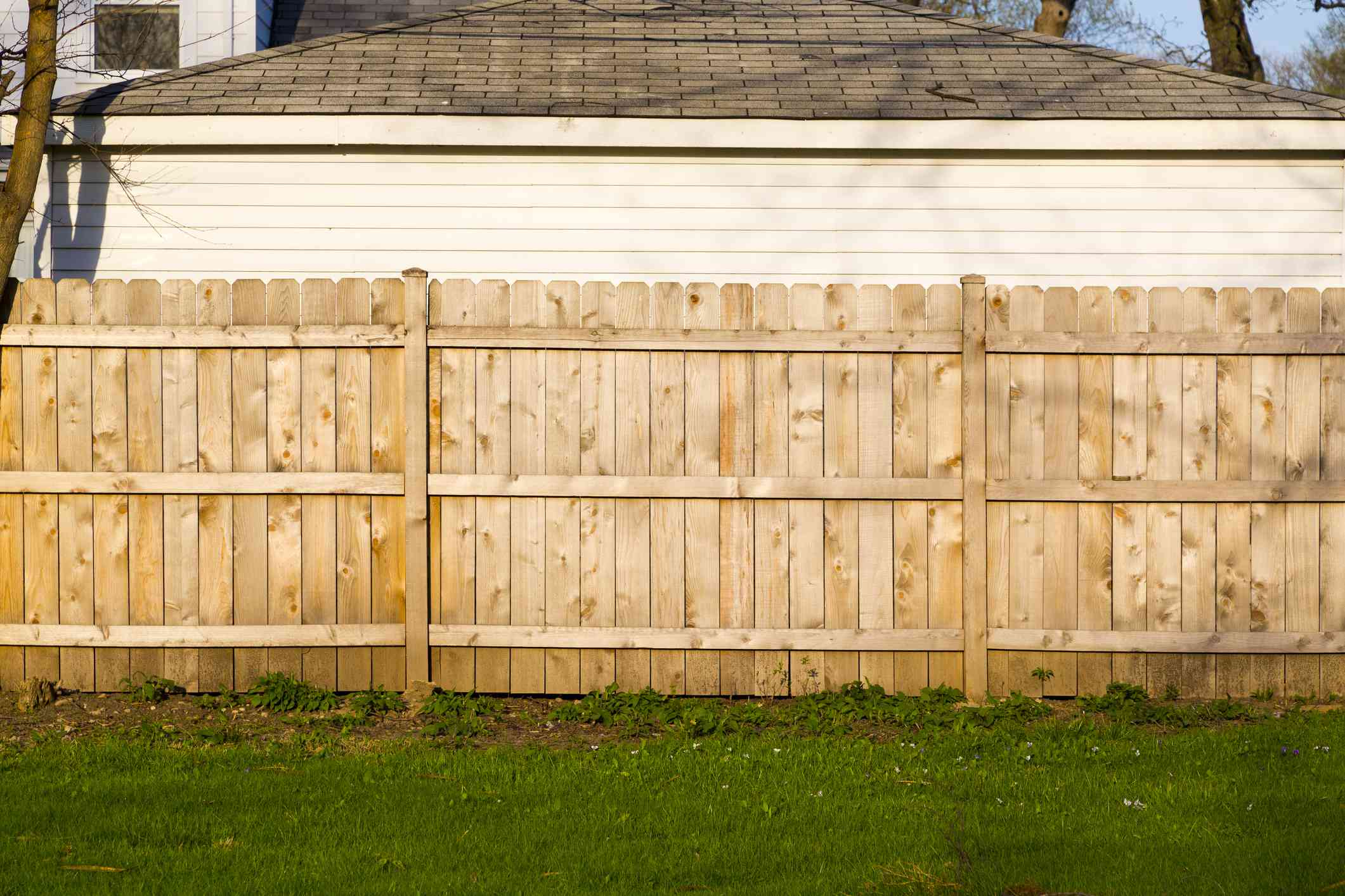 Why Is Pine the Best Material for a Wood Fence?