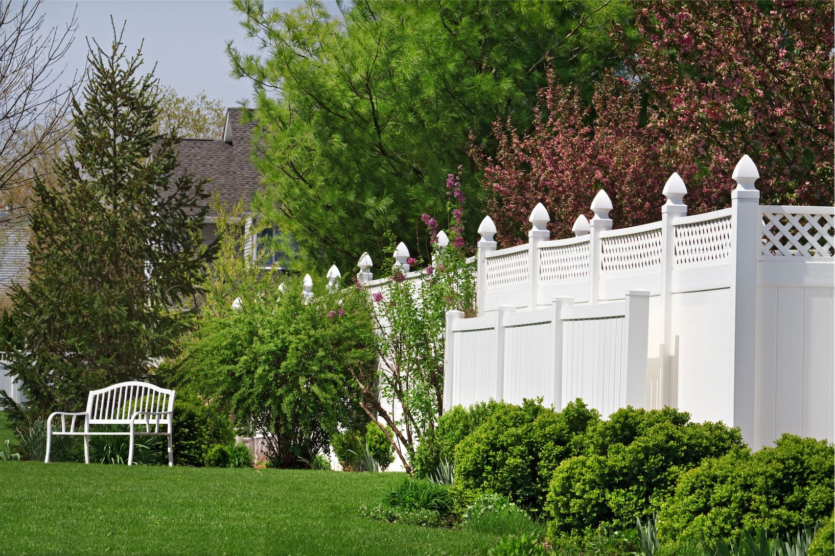 iStock-185278747 Why Is Pine the Best Material for a Wood Fence?