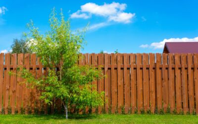 Why Is Pine the Best Material for a Wood Fence?